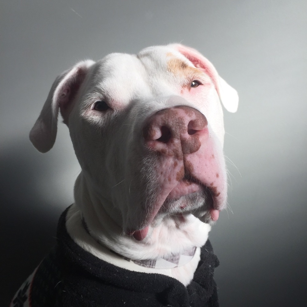 Meet your Posher, Dana